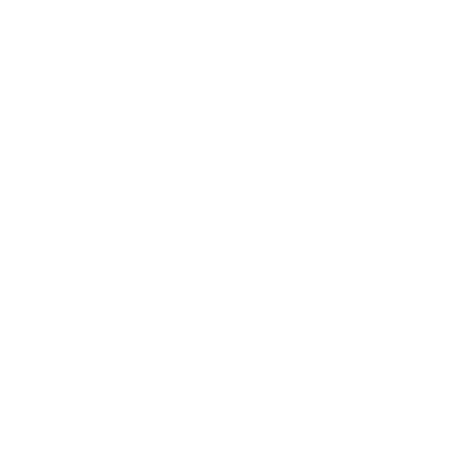 Magnecko – Where Humans Can't Reach